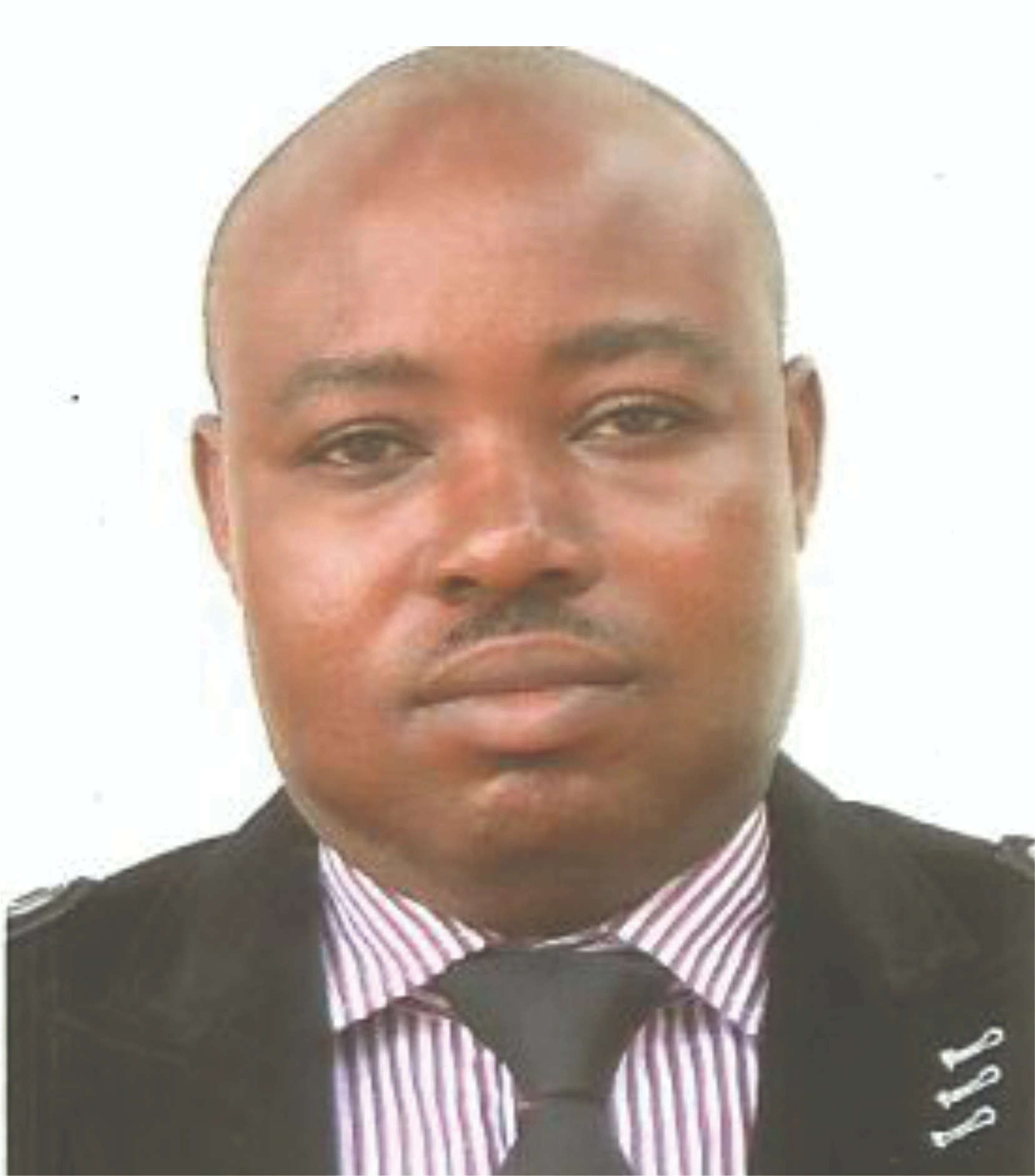 Ambassador<br>Imafidon Austine Uwazunoyen